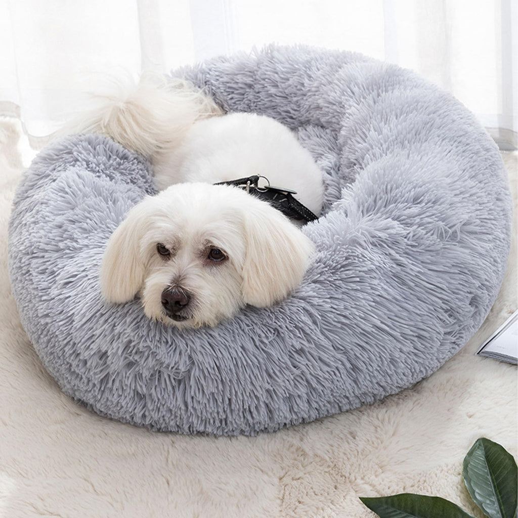 Dog or Cat bed